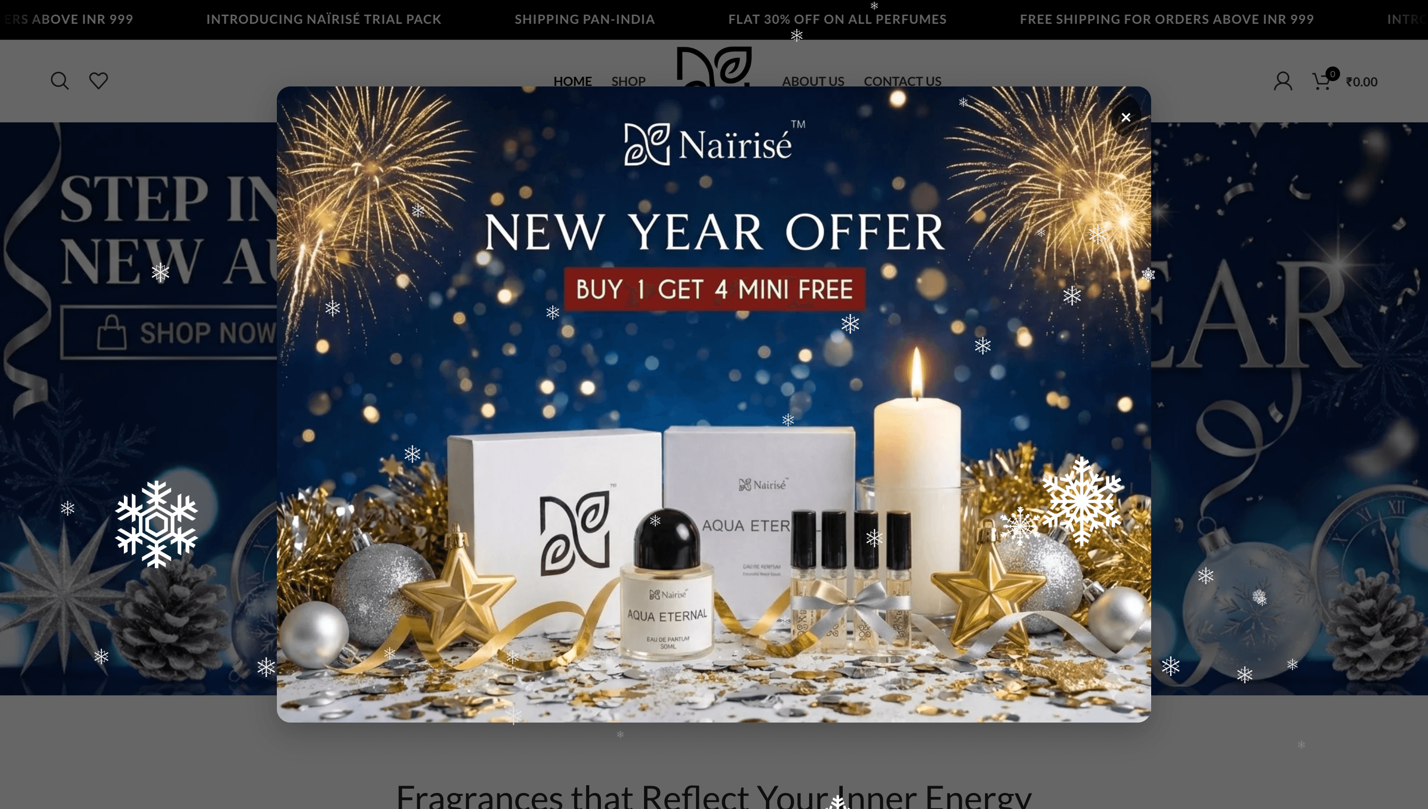 Website preview for Nairise